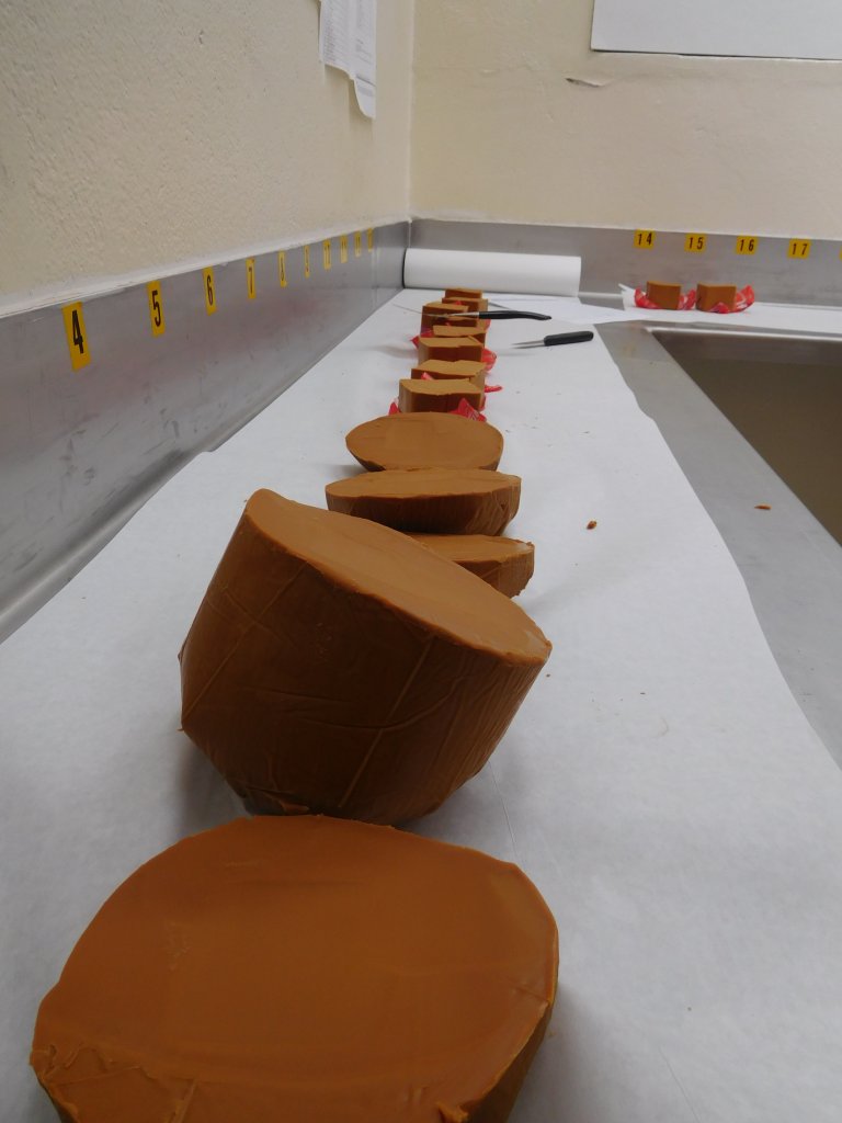 Tasting and testing brunost at the TINE Dairy